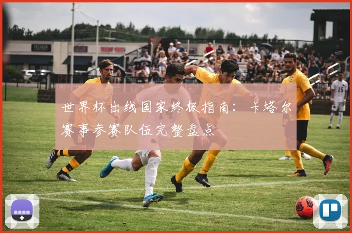 世界杯出线国家终极指南：卡塔尔赛事参赛队伍完整盘点