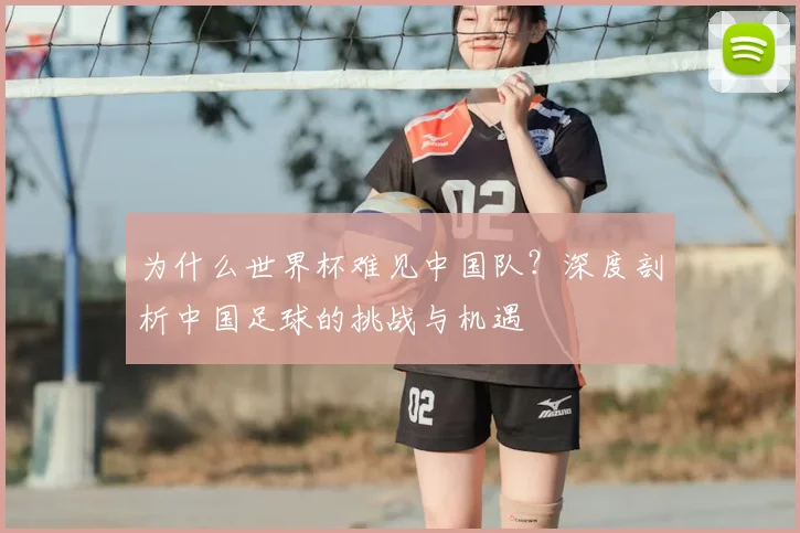 为什么世界杯难见中国队？深度剖析中国足球的挑战与机遇