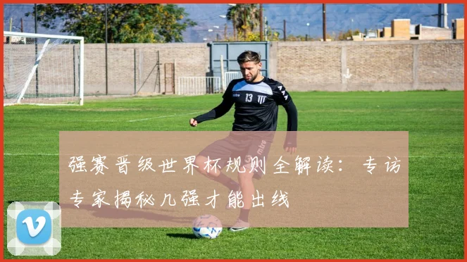 强赛晋级世界杯规则全解读：专访专家揭秘几强才能出线
