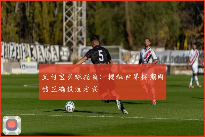 支付宝买球指南：揭秘世界杯期间的正确投注方式