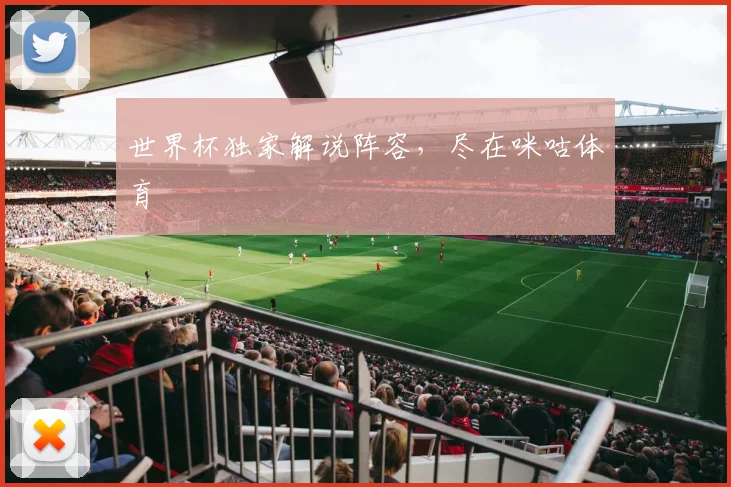 世界杯独家解说阵容，尽在咪咕体育
